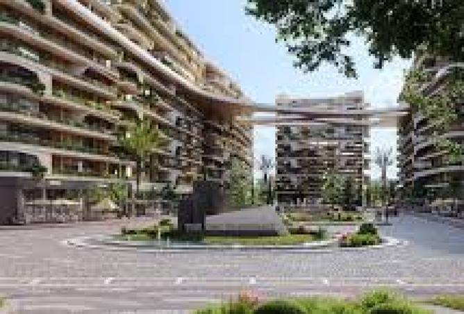 8263835 - Property Image 3