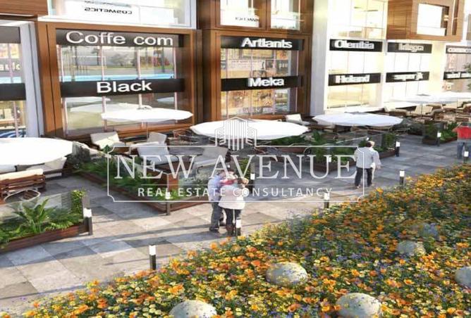 8224323 - Property Image 2