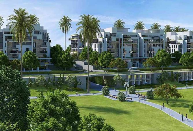 7986527 - Property Image 3