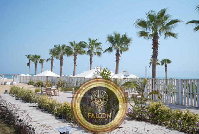 8412393 - Property Image 3