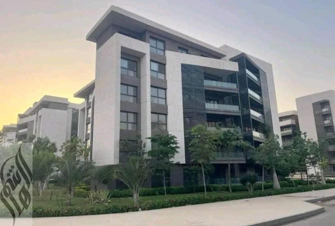 8254069 - Property Image 3