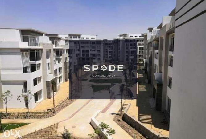 8244775 - Property Image 3