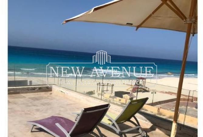 8329840 - صورة العقار 3