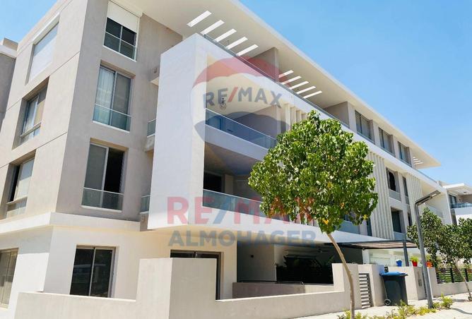 8369847 - Property Image 3