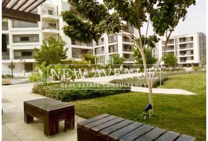 8168720 - صورة العقار 3