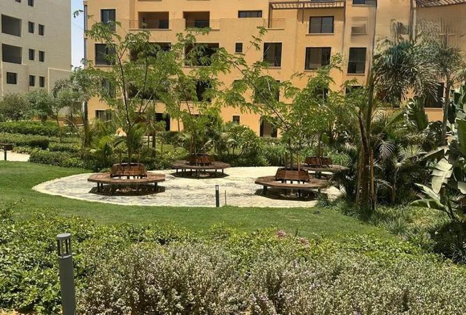 8469069 - Property Image 3