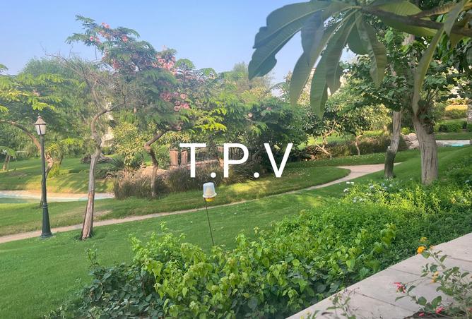 8013865 - Property Image 3