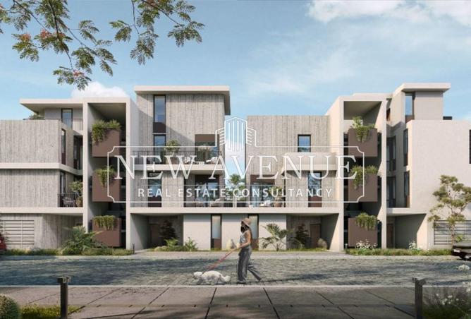 8381761 - Property Image 3