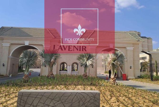 8295871 - Property Image 3