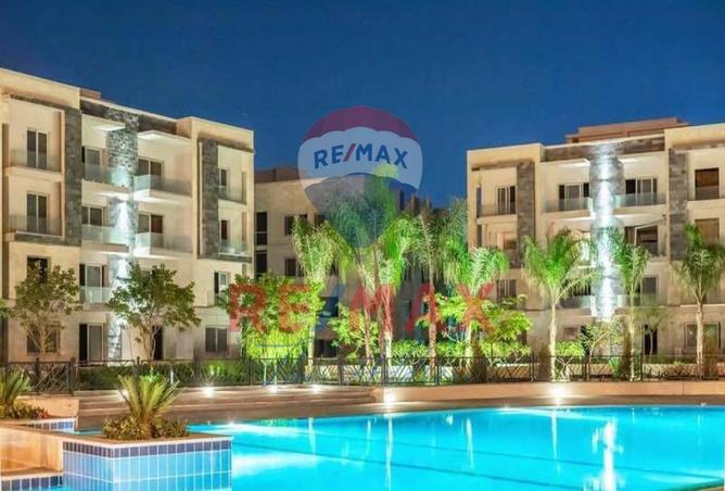 8217585 - Property Image 3