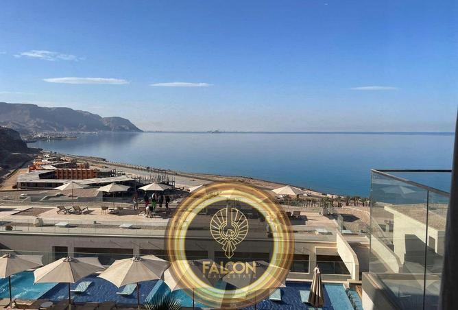 8425353 - Property Image 3