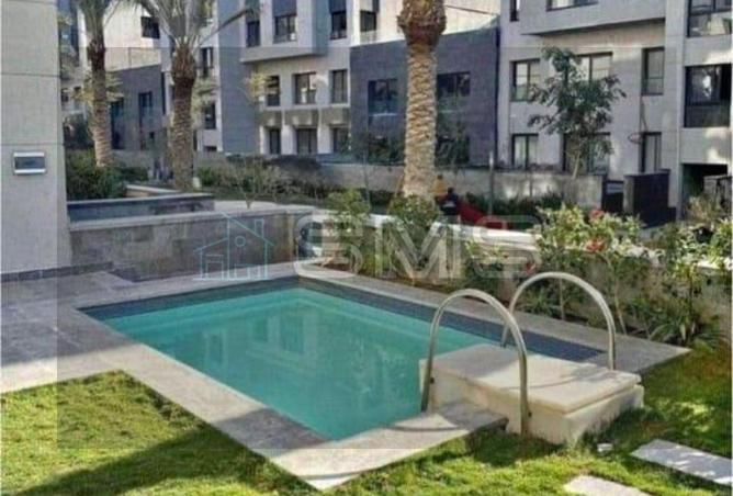 8307238 - Property Image 3