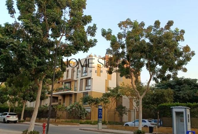 8167780 - صورة العقار 3