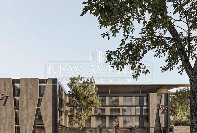 8434971 - Property Image 3