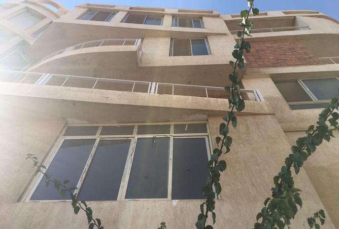 8260257 - Property Image 3