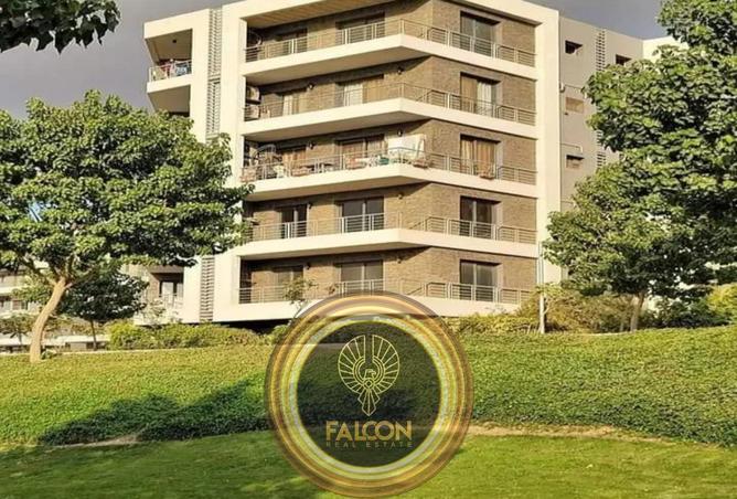 8469172 - Property Image 3