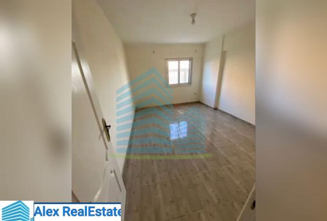 8105299 - Property Image 3