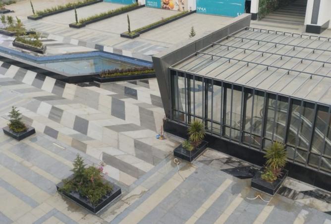 8304598 - Property Image 3