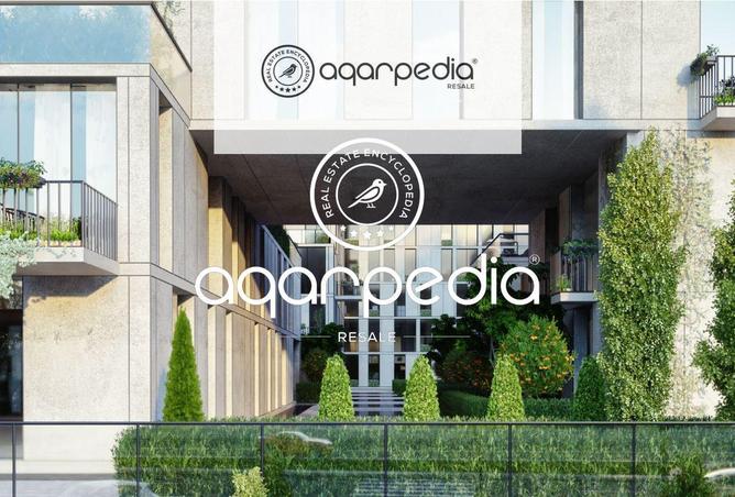 8164388 - صورة العقار 3