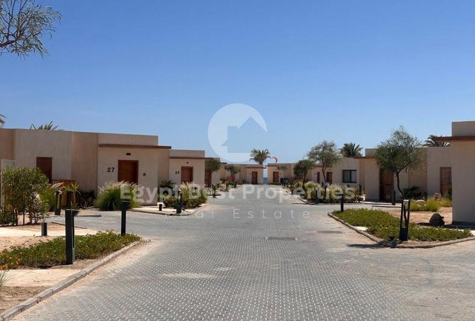 8217684 - صورة العقار 2