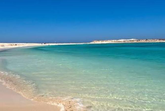 8201915 - Property Main Image