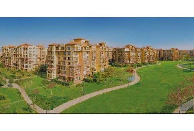 8138428 - صورة العقار 2