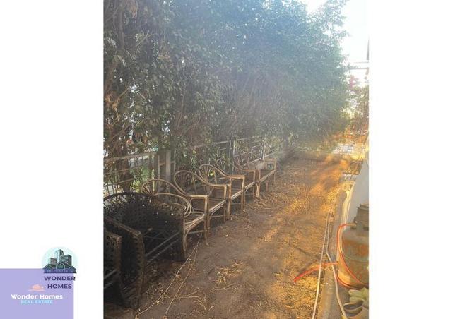 7143500 - صورة العقار 2