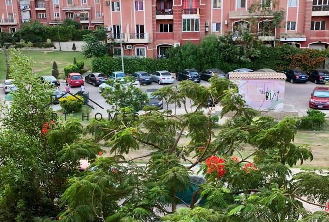 7925727 - الصورة الرئيسية للعقار