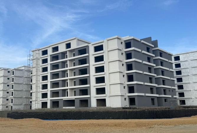8006250 - Property Image 3