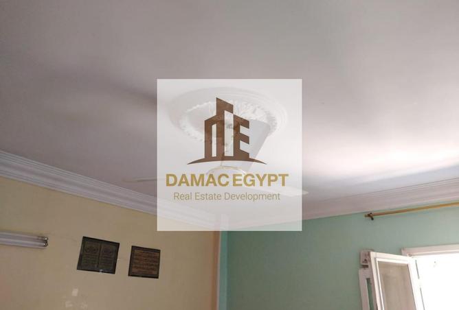 8063014 - صورة العقار 3