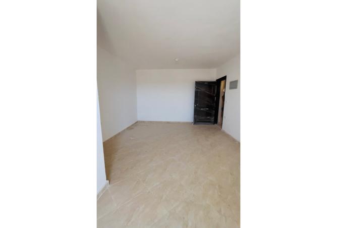 7982607 - Property Image 2