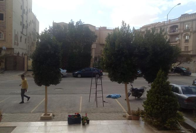 8244120 - Property Image 3