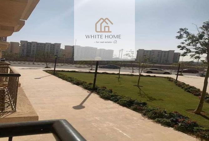 8177731 - صورة العقار 3