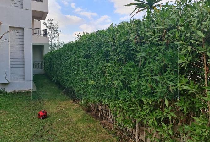 8039706 - Property Image 3