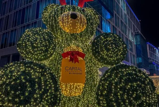 8298954 - صورة العقار 3