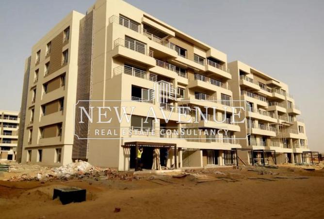 8113887 - Property Image 3