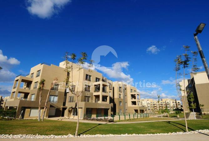 7973294 - Property Image 3