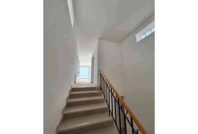 8486354 - Property Image 3