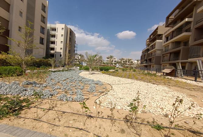 7969660 - صورة العقار 3