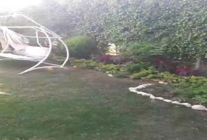 8180881 - صورة العقار 3