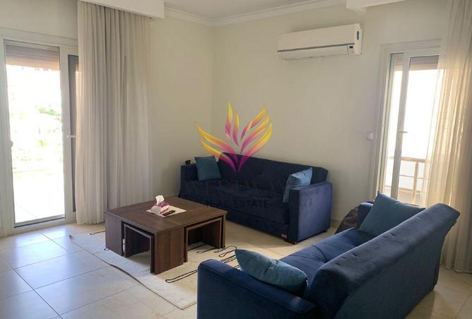 8098288 - Property Image 3