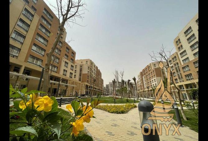 8397985 - الصورة الرئيسية للعقار