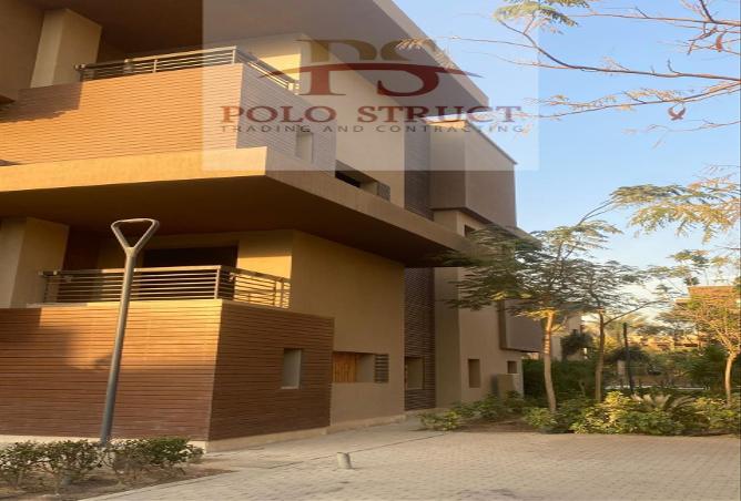 7997694 - Property Image 3