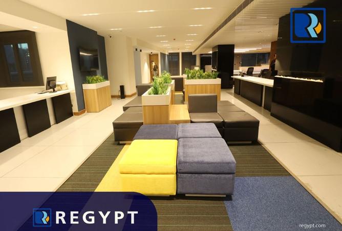 8166184 - Property Image 2