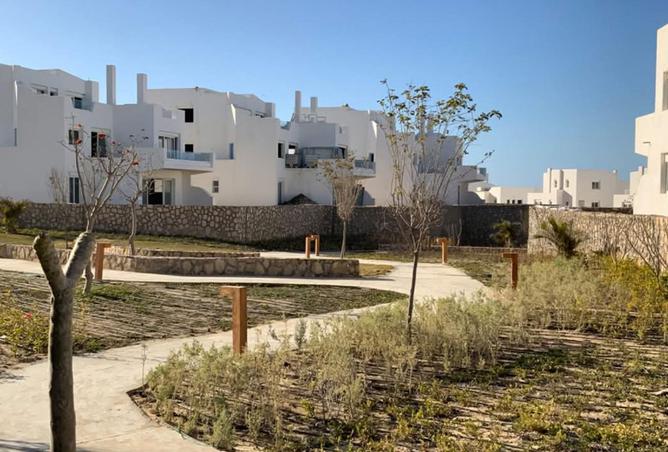 8491358 - Property Image 2