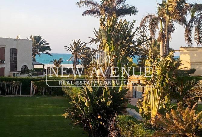 8264847 - صورة العقار 2