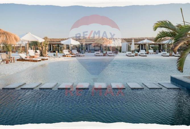 8310910 - Property Image 3