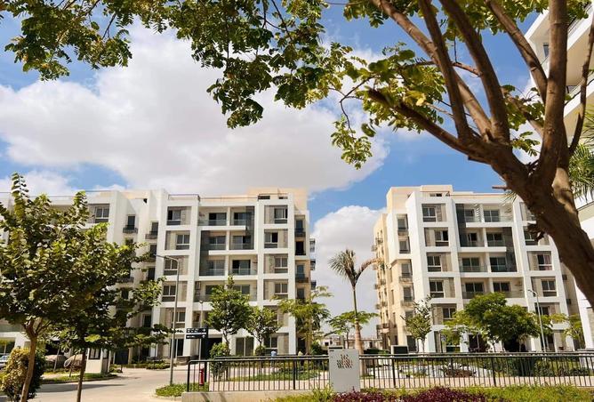 7972870 - صورة العقار 2