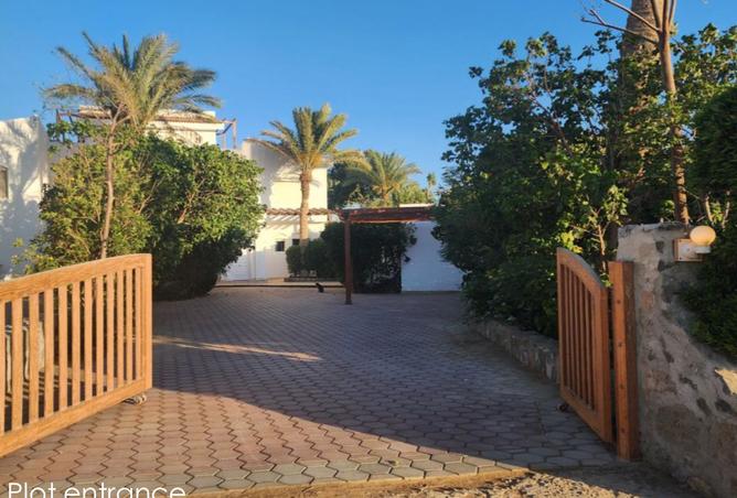 7949234 - صورة العقار 3