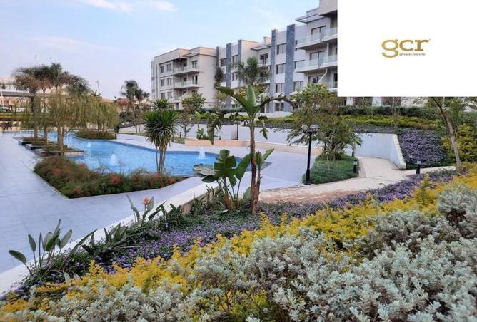 8281831 - Property Image 3